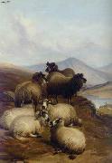 unknow artist Sheep 192 oil on canvas